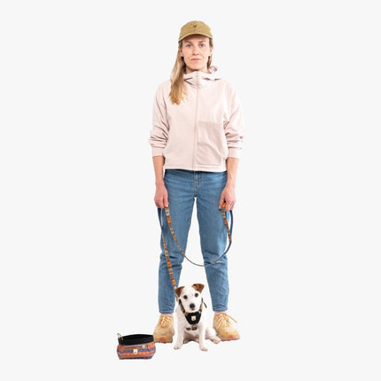 Nightless Night Leash