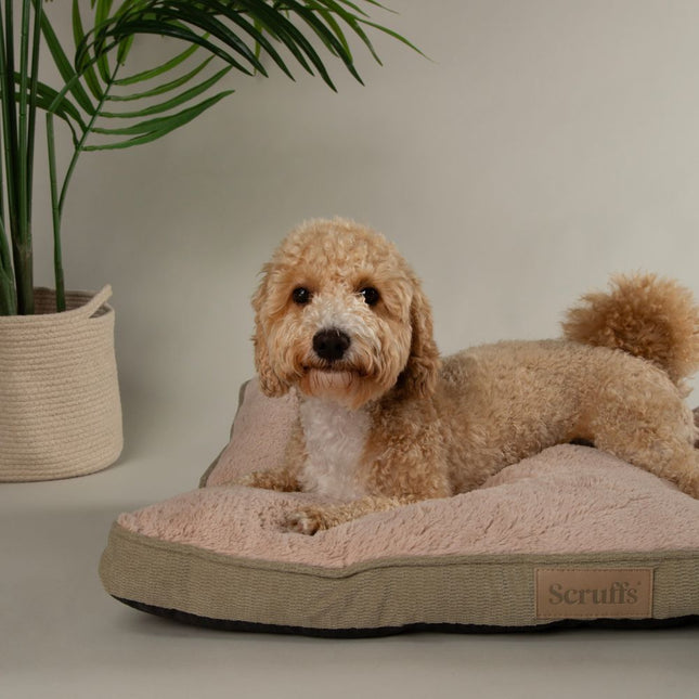 Display - Paloma Mattress - 18 pieces