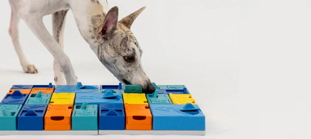 <h3>Puzzles for dogs and cats</h3>