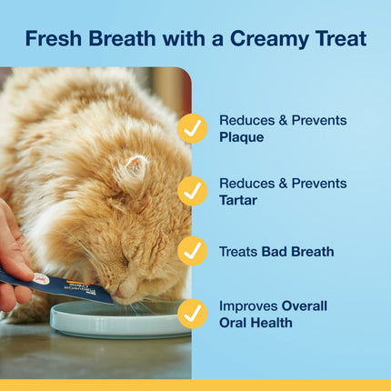 ProDen PlaqueOff® Crème Kat