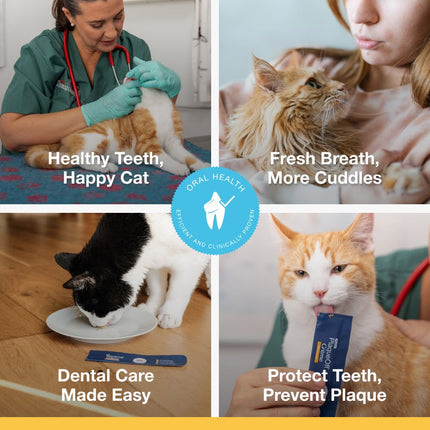 ProDen PlaqueOff® Crème Kat