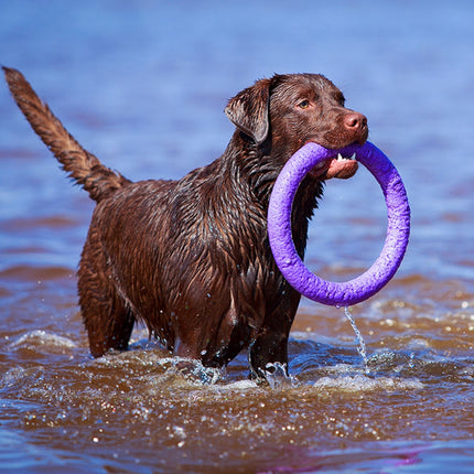 Puller Dog Fitness Tool