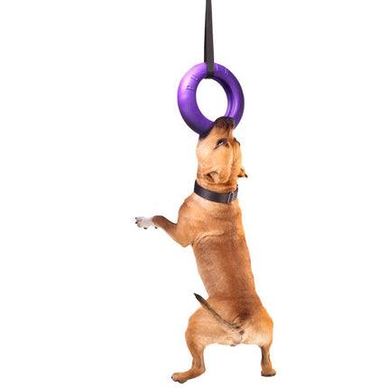 Puller Dog Fitness Tool