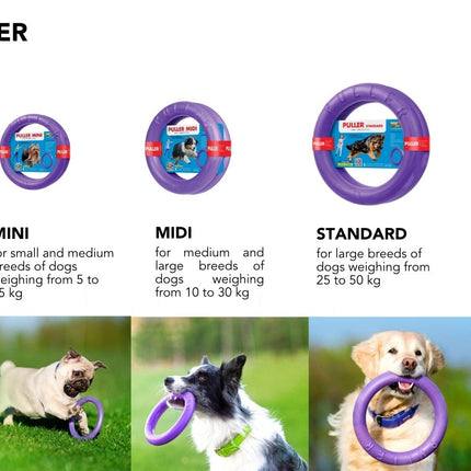 Puller Dog Fitness Tool