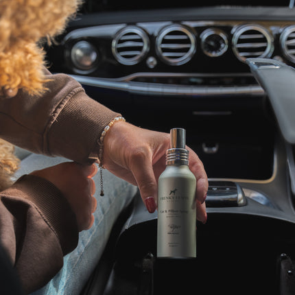 Auto- & Kissenspray - 4 x 100 ml