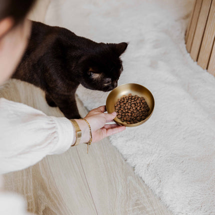 ROYAL Stainless Steel Cat Food Bowl