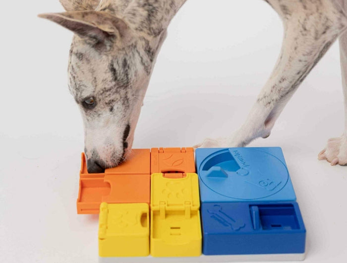 <h2>Gemeinsames Spielen stärkt die Bindung</h2>