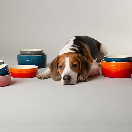 Ombre voerbak voor honden