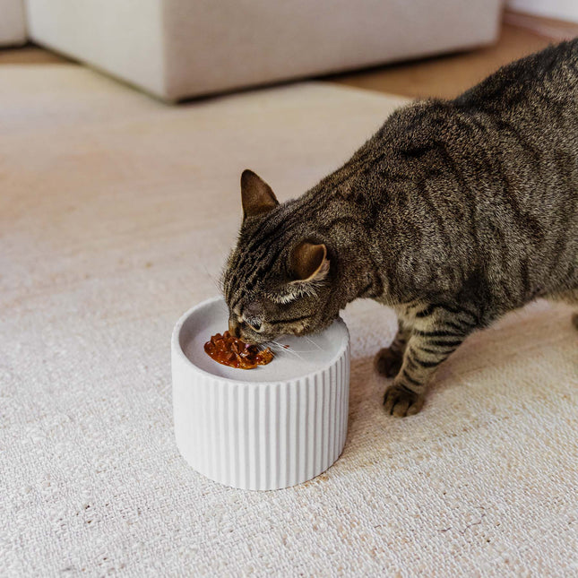 SENSE - Verhoogde keramische voerbak