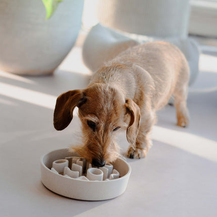 BAMBOO Slow Feeder Dog Bowl
