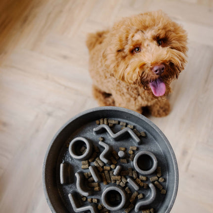 BAMBOO Slow Feeder Dog Bowl