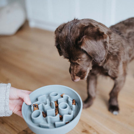 BAMBOO Slow Feeder Dog Bowl