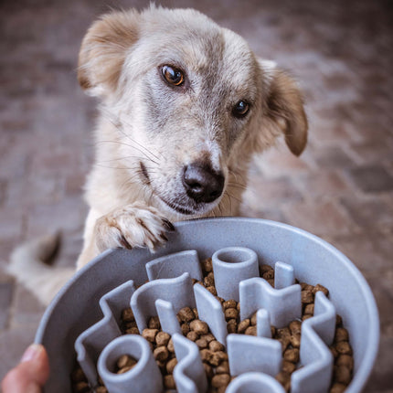 BAMBOO Slow Feeder Dog Bowl
