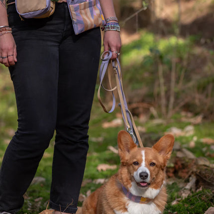 Multi-use Leash Thin