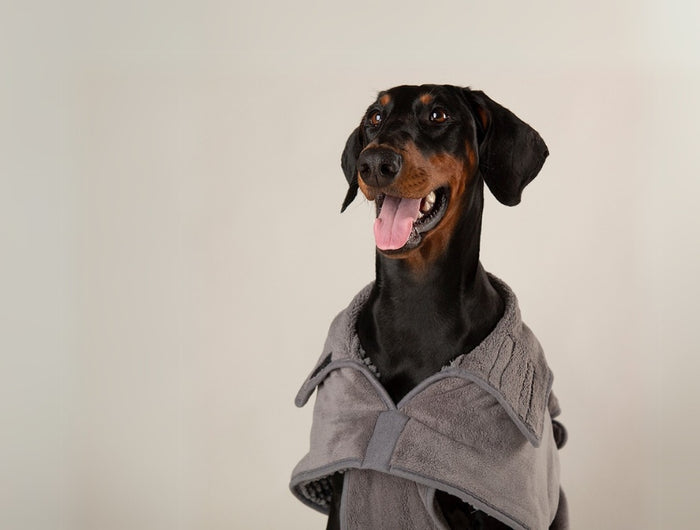 <h3>Scruffs® Noodle Collection</h3>