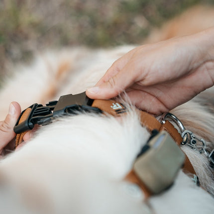 Sea to Summit Harness