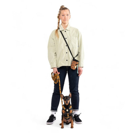 Sea to Summit Harness