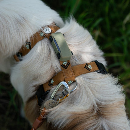 Sea to Summit Harness