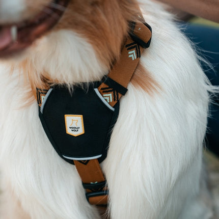 Sea to Summit Harness