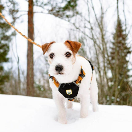 Sea to Summit Harness