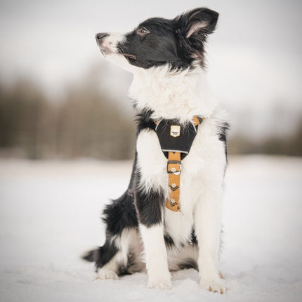 Sea to Summit Harness