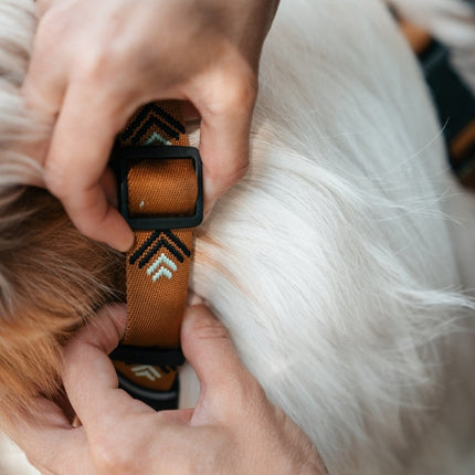 Sea to Summit Harness