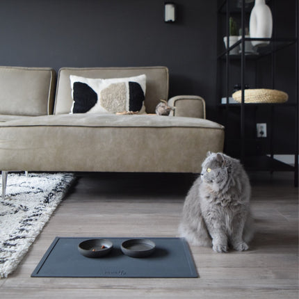 BAMBOO Futternapf für Katzen