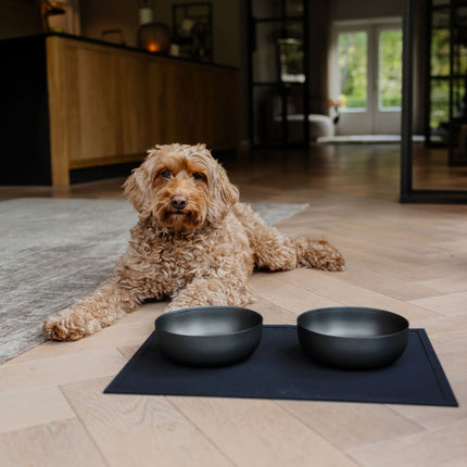 ROYAL Stainless Steel Dog Food Bowl