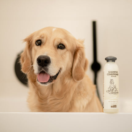 Hundeshampoo & Conditioner