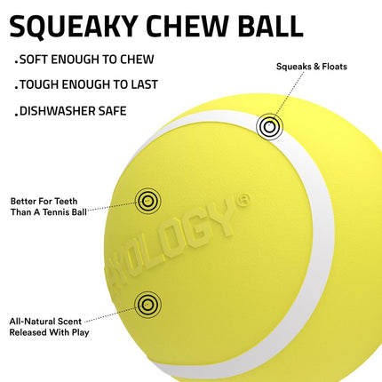 Squeaky Chew Ball