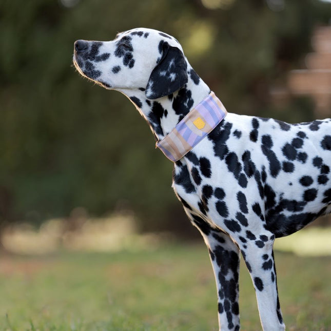 Sunshower Soft Martingale Collar