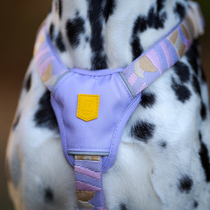 Sunshower Harness