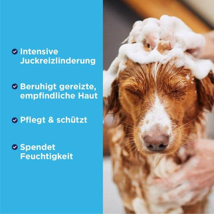 OxyMed Anti-Itch Oatmeal Conditioner - 355ml (DE/FR)