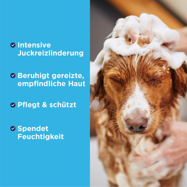 OxyMed Anti-Itch Oatmeal Conditioner - 355ml (DE/FR)