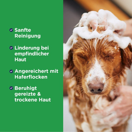 OxyMed Hypoallergenic Oatmeal Shampoo - 355ml (DE/FR)