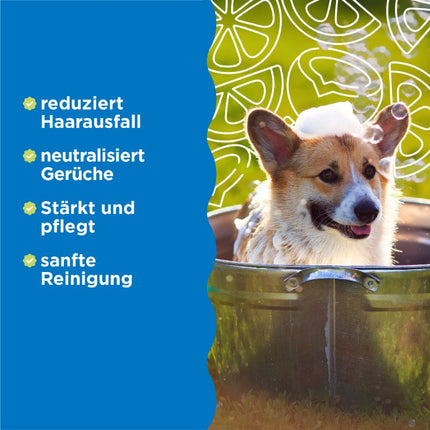 Shed Control Shampoo - 355ml (DE/FR)