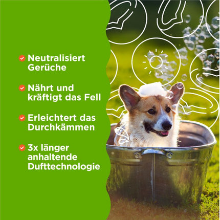3in1 Stärkendes Shampoo - 355ml (DE/FR)