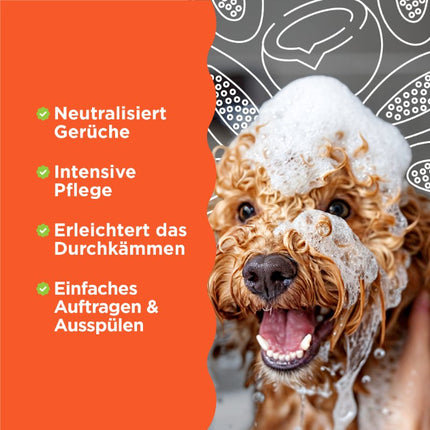 2-in-1 Shampoo and Conditioner - 355ml (DE/FR)