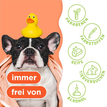 2-in-1 Shampoo and Conditioner - 355ml (DE/FR)