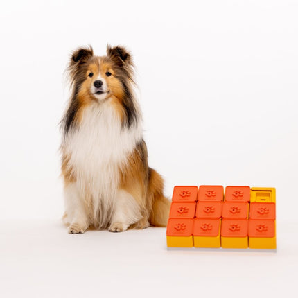 Treat Maze Set
