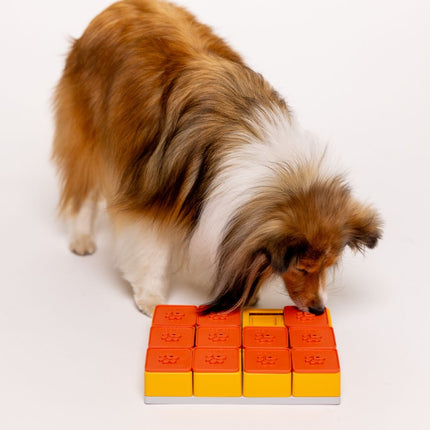 Treat Maze Set