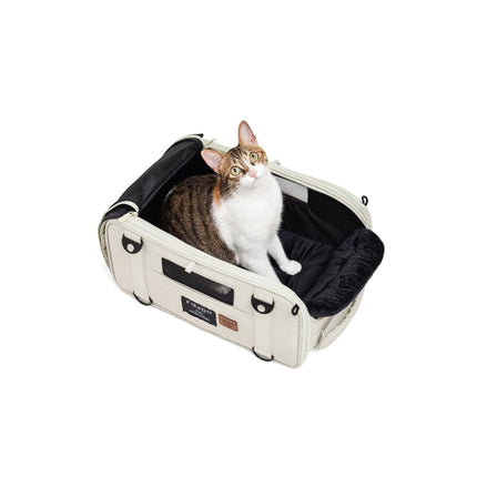 Truffle - Carry on Carrier