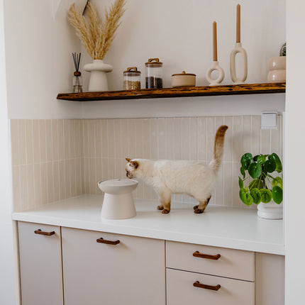 WABI SABI - Keramische drinkfontein