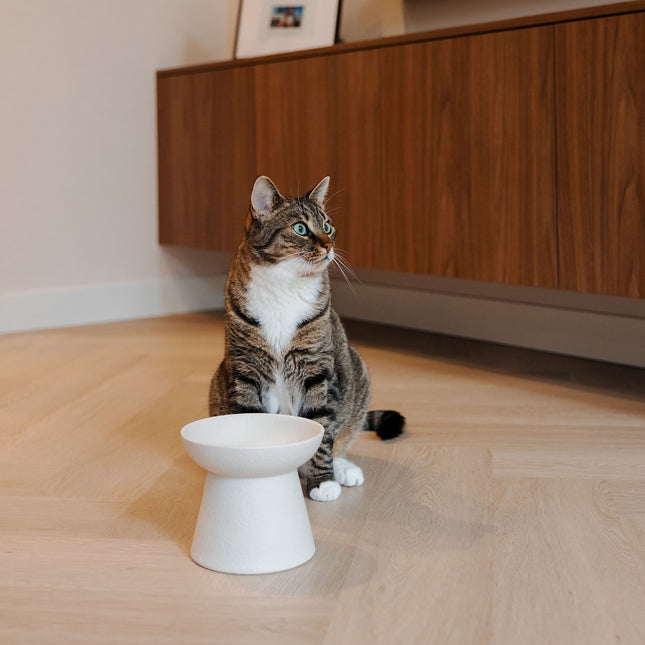 WABI SABI - Verhoogde keramische voerbak