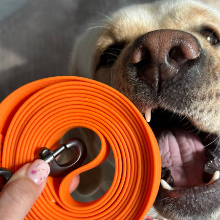 Waterproof hondenlijn