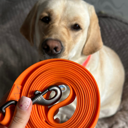 Waterproof hondenlijn