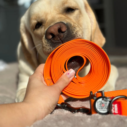 Waterproof hondenlijn