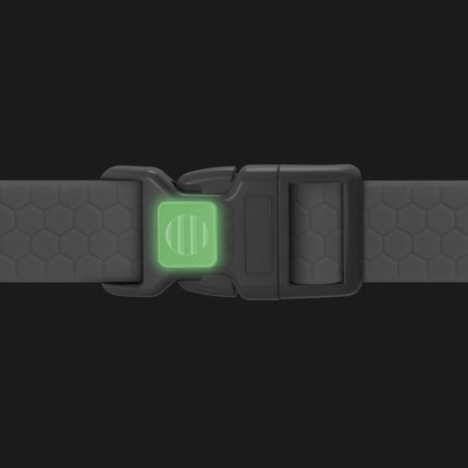 Waterproof dog collar with QR passport