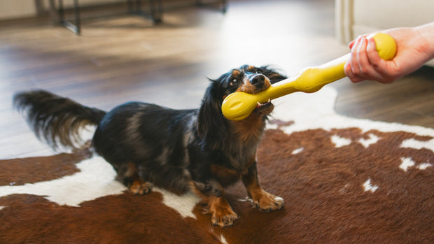 <h4>How do you recommend the right toy?</h4>