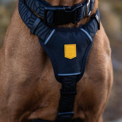 Wild Tundra Collar